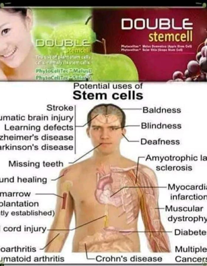 WhatsApp Image 2026-08-19 at 13.19.21