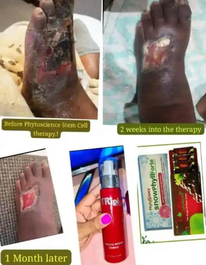 testimony 8